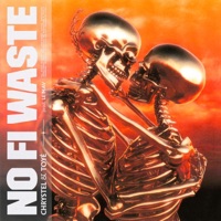 No Fi Waste - Single - Chrystel & Toyé