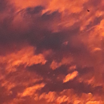 Sunset Memories