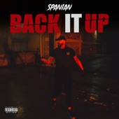 Back It Up artwork