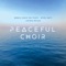 Aurora - World Choir for Peace, Kammerchor Hannover & Nicol Matt lyrics