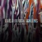 Liberace - At-Risk Youth lyrics
