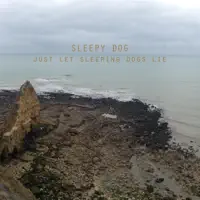Tip Toeing on Pond Water — Sleepy Dog
