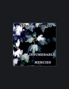聆聽 Luminous Dream、觀看音樂影片、閱讀小傳、查看巡演日期等！