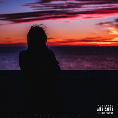 PARTICOLARE (feat. Cante) - Single