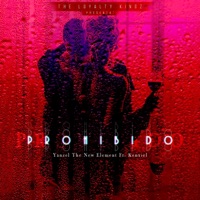 Prohibido (feat. Kenxiel) - Single - Yanzel The New Element