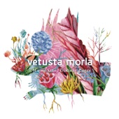 Vetusta Morla - Consejo de Sabios