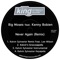 Never Again (feat. Kenny Bobien & Lee Wilson) - Big Moses lyrics