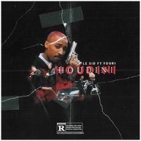 Houdini (feat. Youri) - Single - Le Sid