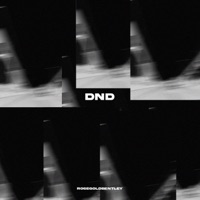 Do Not Disturb - Single - RoseGoldBentley