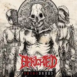 Necrobreed (Deluxe) - Benighted