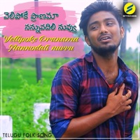 Vellipoke Pranama Nannodali Nuvvu - Single - Karunakar