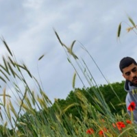 Flower Boy - Single - Senpu