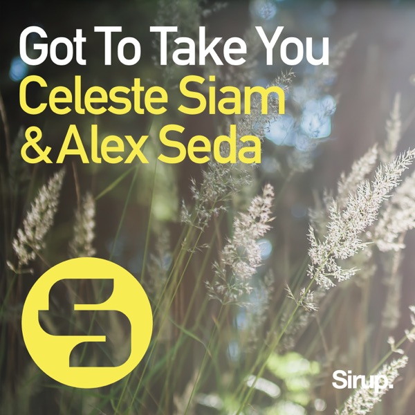 Got to Take You - Single