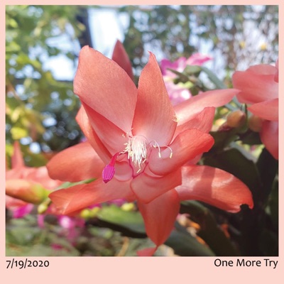 One More Try - Single