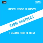 Deewani Kawaja Ki Deewani / O Sharabi Chod de Peena artwork