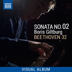 Beethoven 32: Sonata No. 2 (Visual Album)