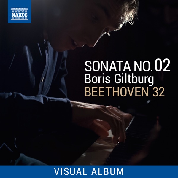 Beethoven 32: Sonata No. 2 (Visual Album)