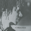 Se... - Djavan