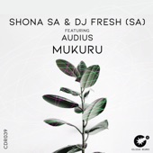 Mukuru (feat. Audius) artwork