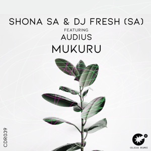 Mukuru (feat. Audius)