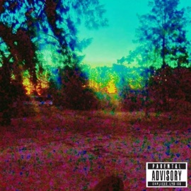 Still Got (feat. Benny Afroe & Stepdaddy) Killer Gram