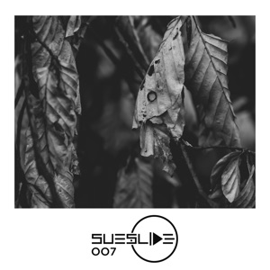 Brave Ascent - Single