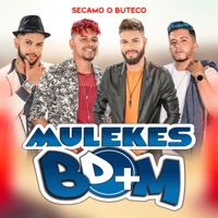 Secamo o Buteco - Single - Mulekes Bom D+