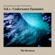 Corals Under the Sun (Remix) - Sivan Talmor & Yehezkel Raz