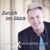Andreas Hammerschmidt - Zurück ins Glück