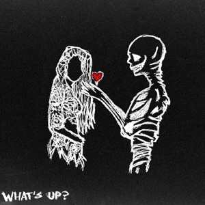 What's Up?