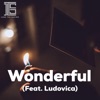 Wonderful (feat. Ludovica) - Single