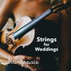 Stringspace - Canon in D Major (String Quartet) artwork