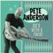 Day Tripper - Pete Anderson lyrics