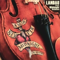 Amor Sem Fim (feat. Midnight Orchestra) - Single - Landau