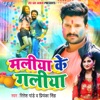 Maliya Ke Galiya - Single