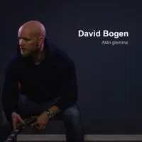 Aldri glemme — David Bogen