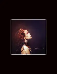 Hör dir Amber Sea an, schau dir Musikvideos an, lies die Biografie, finde Tourdaten und mehr!