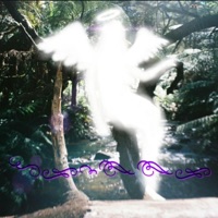 Leanne - Single - Soarer