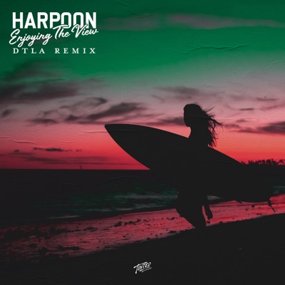 Enjoying the View (DTLA Remix) - Single