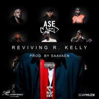 Reviving R. Kelly - Single - asecard