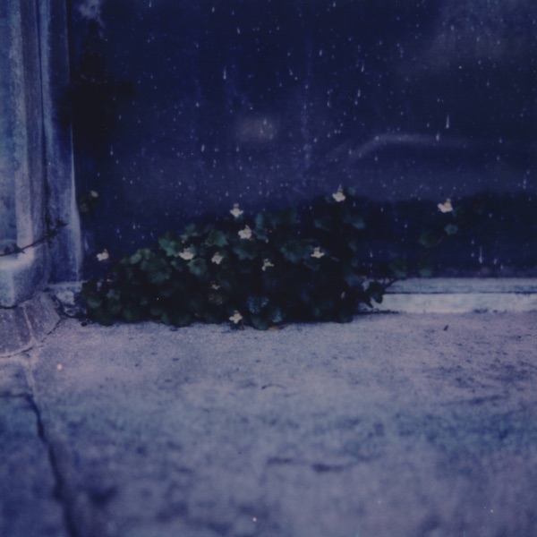 The Endless Sadness of the Shoreless Heart - EP