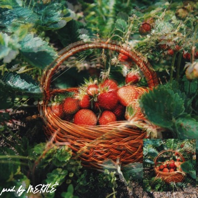 Strawberries - Single