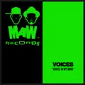 Voices In My Mind