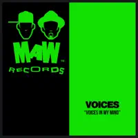 Voices In My Mind — Voices