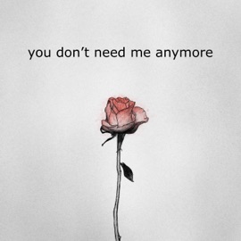 you don't need me anymore (feat. Danny O'Grady) toldyou