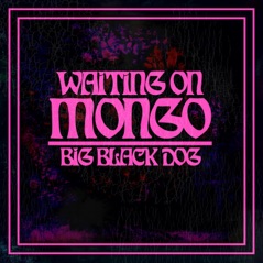 Big Black Dog - Single