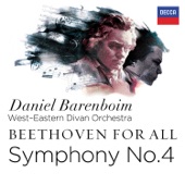 Beethoven for All: Symphony No. 4 artwork