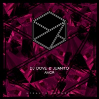 Amor - Single - DJ Dove & Juanito