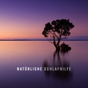 Natürliche Schlafhilfe: Therapie bei Schlafstörungen mit Naturgeräusche