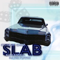 Slab (feat. Alexandria & David Puffin') - Single - Cityboy Chop